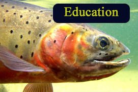 Education