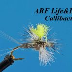 ARF Life & Death Callibaetis (set of 3 flies)