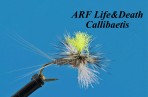 ARF Life & Death Callibaetis (set of 3 flies)